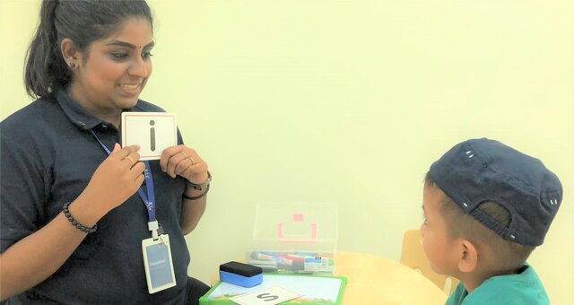 Articles a, an, the rules with examples picture